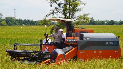 Perkuat Kolaborasi dan Swasembada Pangan Nasional, Panglima TNI Dampingi Presiden RI Panen Raya Serentak